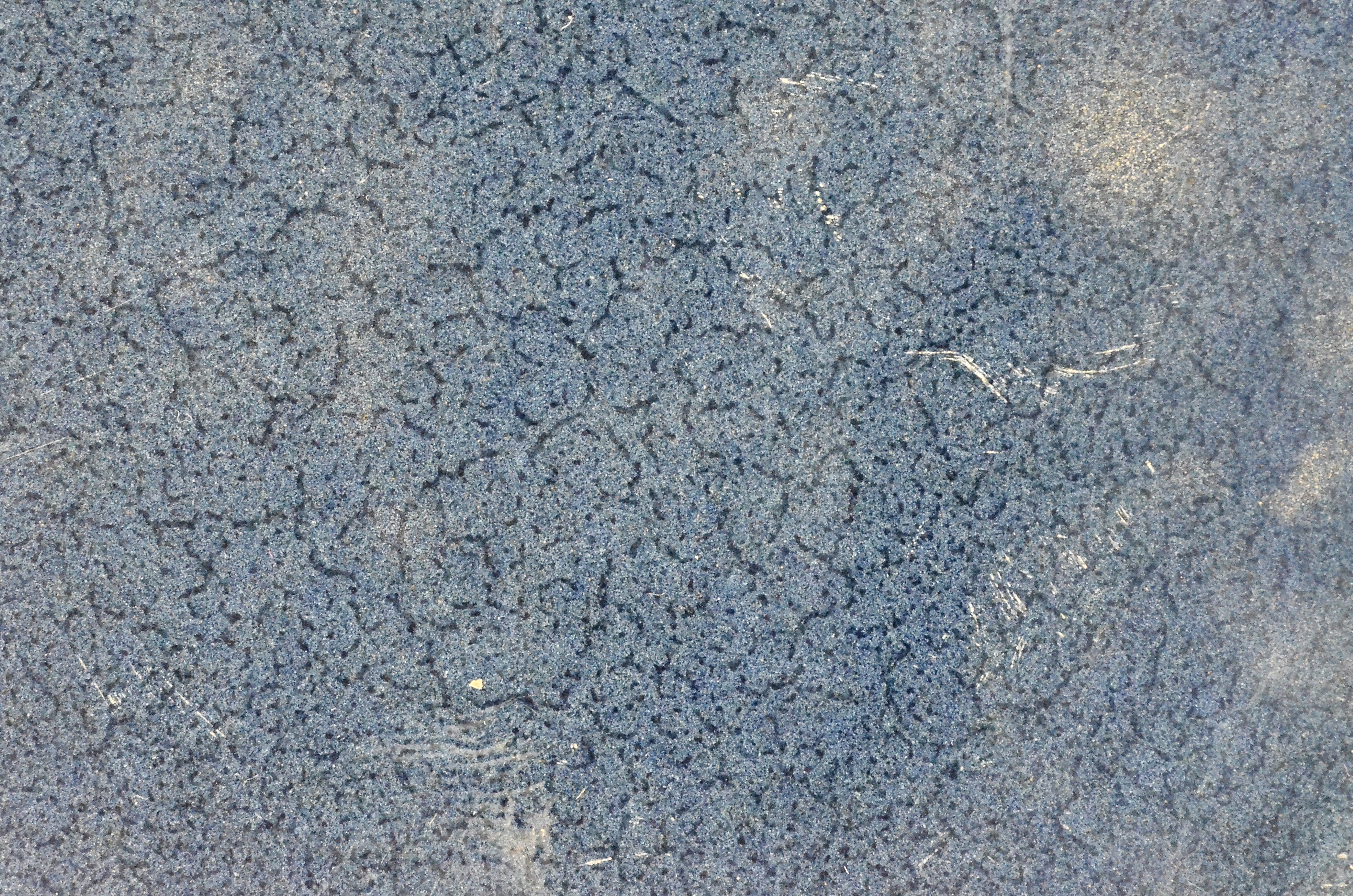 Blue and White Fish Bowl and Saucer, Ming Dynasty